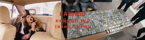сатива Абинск