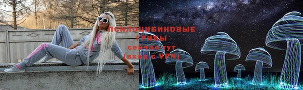 МДПВ Абаза