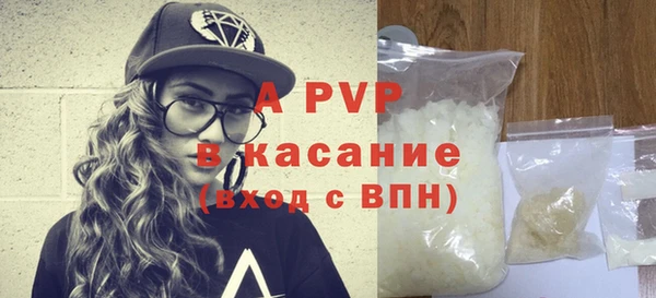сатива Абинск