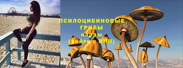 МДПВ Абаза