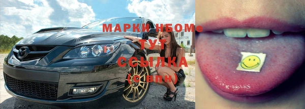 сатива Абинск