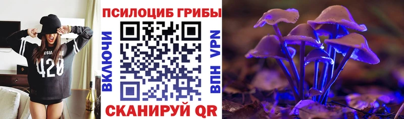 купить  сайты  Кадников  Псилоцибиновые грибы мухоморы 